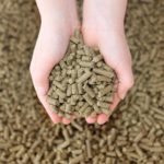 Hemp Pellets